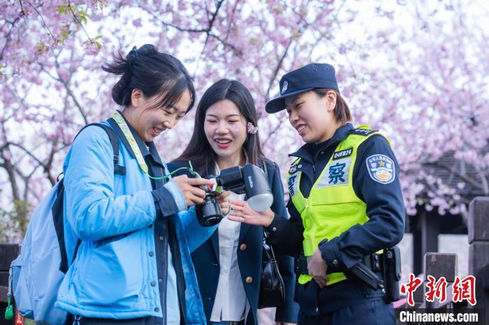 繁花报春！上海“最长花期”樱花节“绽放”在即