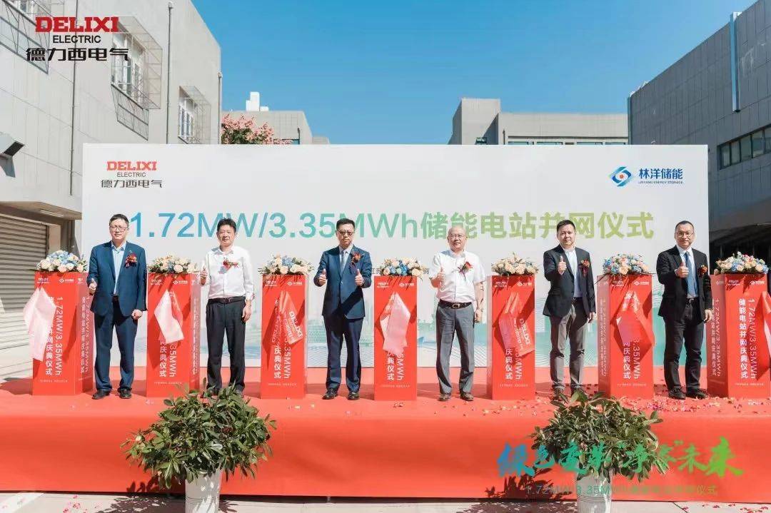 聚焦低碳发展，引领逐绿新途：德力西电气斩获碳中和博鳌大会“中国节能协会创新奖”